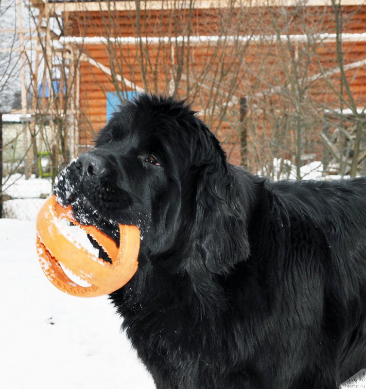 Фотография № 202273