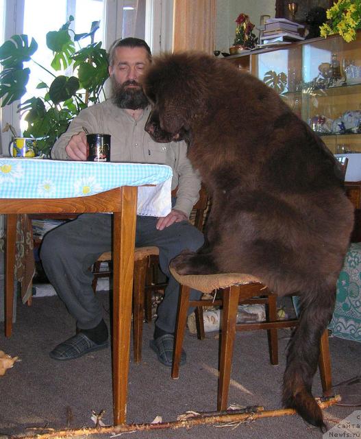 Фотография № 20229