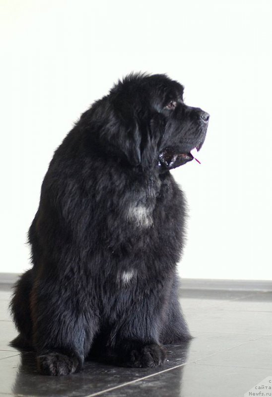 Фотография № 202309