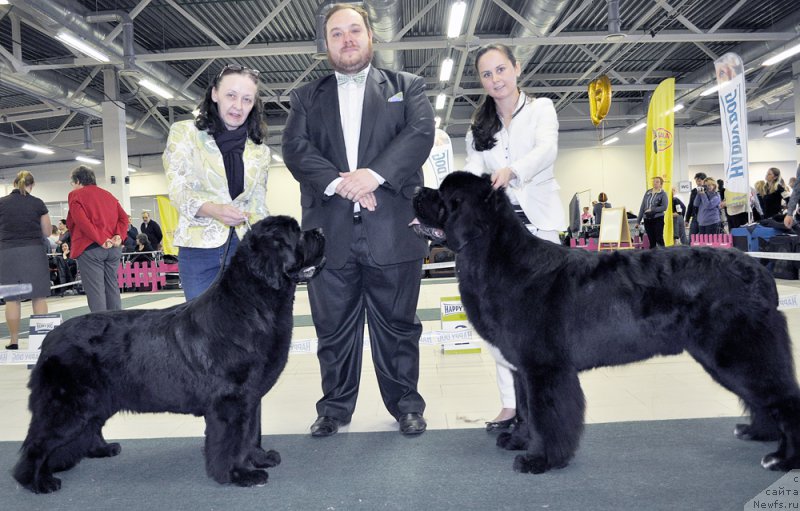 Фотография № 202311