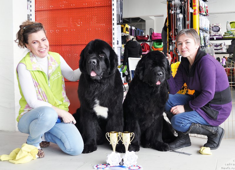 Фотография № 202313