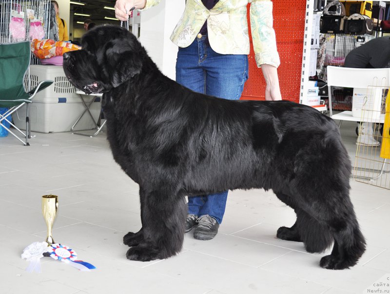 Фотография № 202315