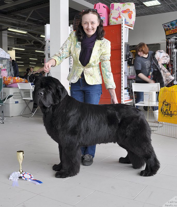 Фотография № 202316