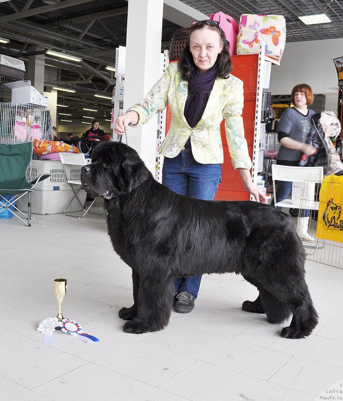 Фотография № 202317