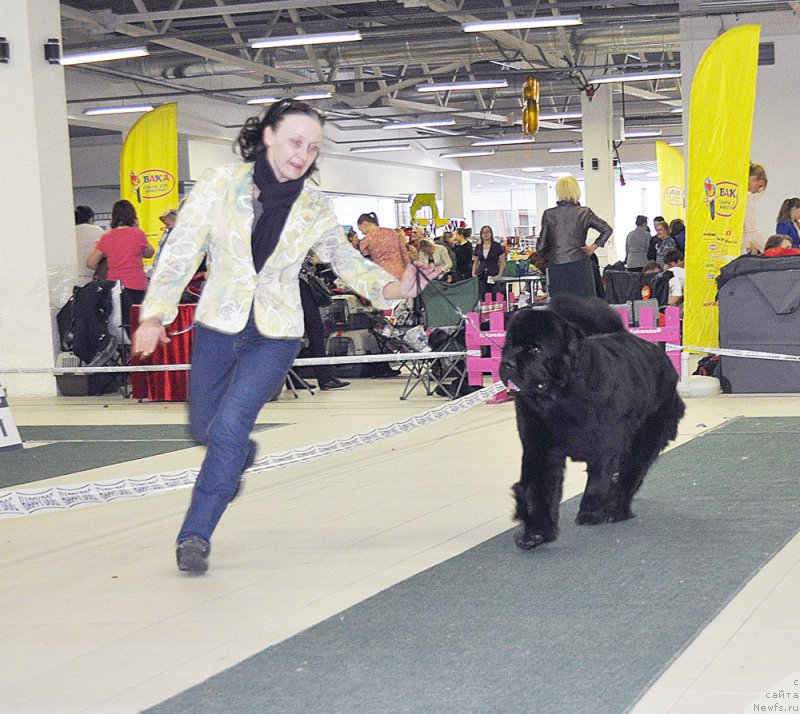 Фотография № 202318