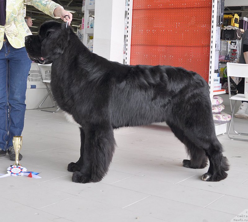 Фотография № 202319