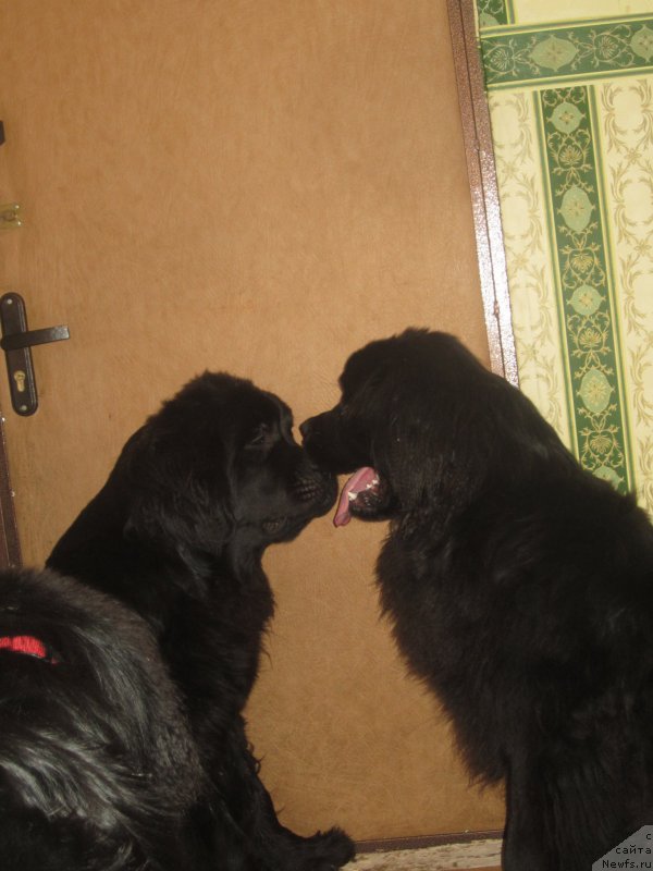 Фото: Наталья Смазчикова