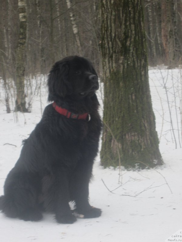 Фото: Наталья Смазчикова