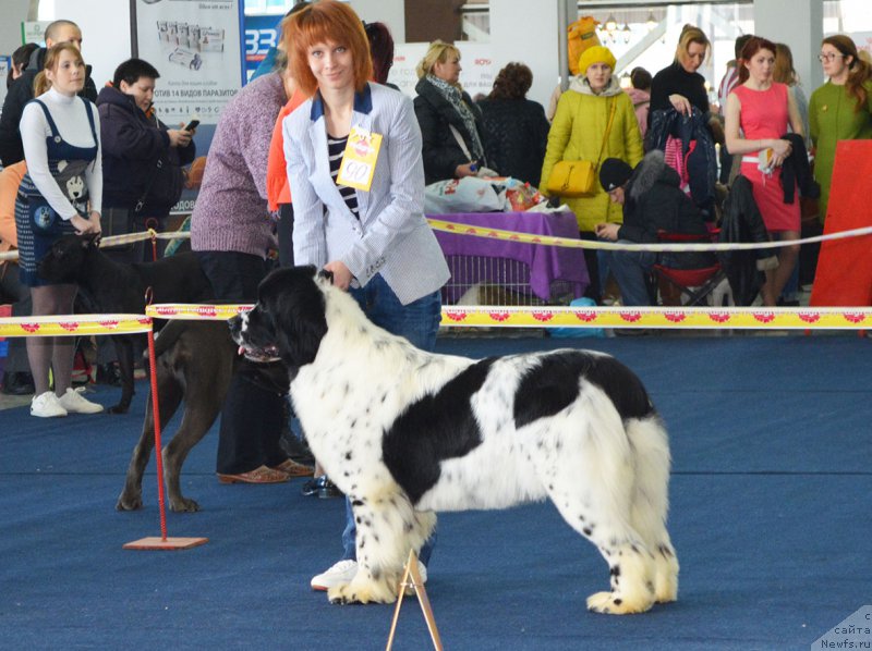 Фотография № 202382