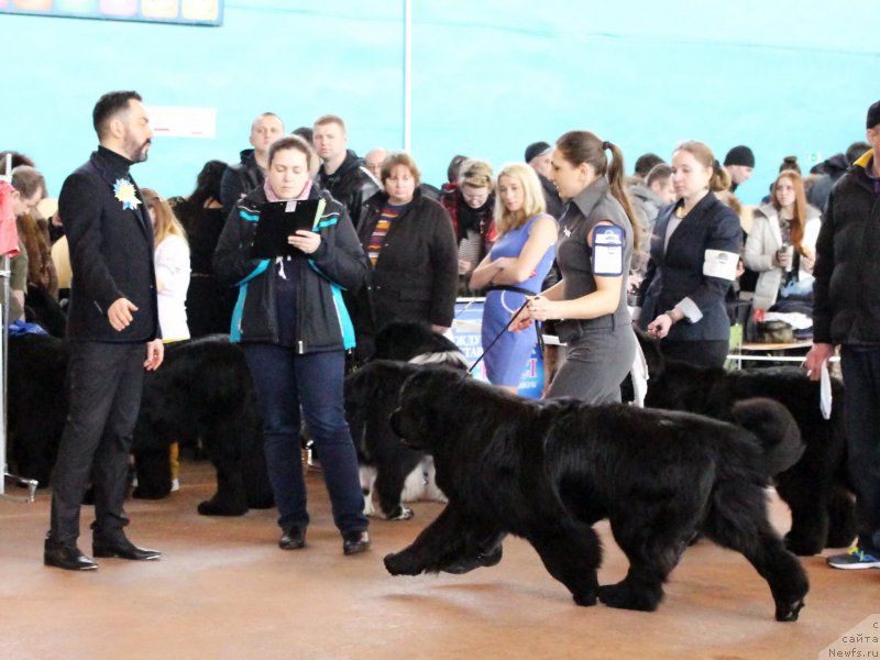 Фото: Виктор Хрищанович