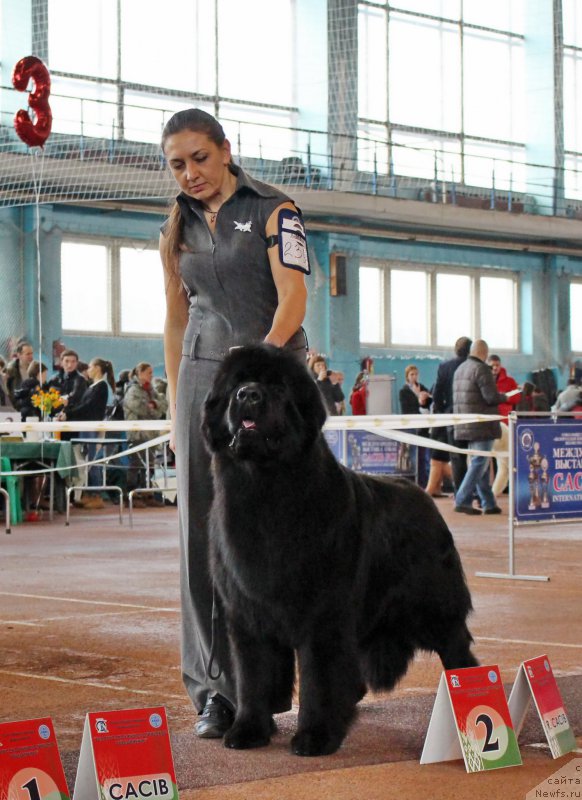 Фотография № 202389