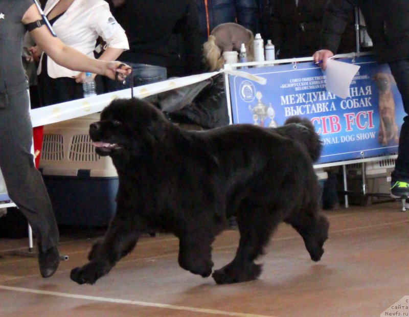 Фото: Виктор Хрищанович
