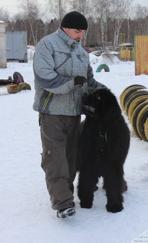 Фотография № 202399