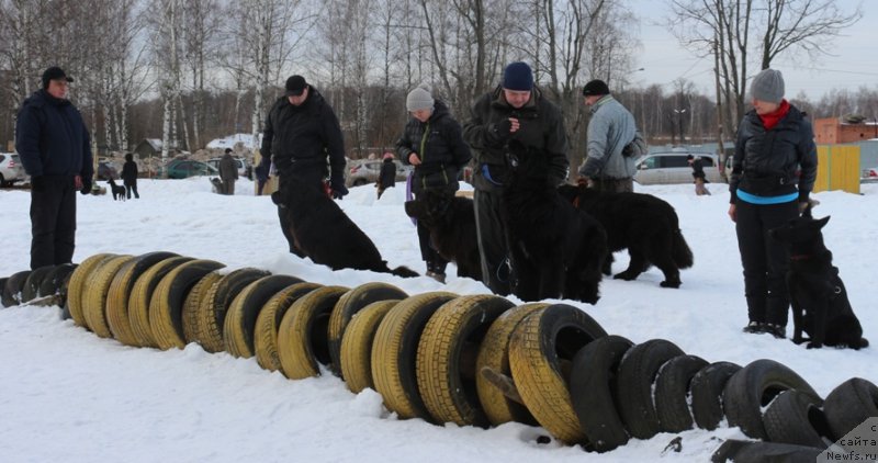 Фотография № 202400