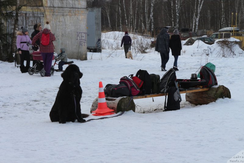 Фотография № 202401