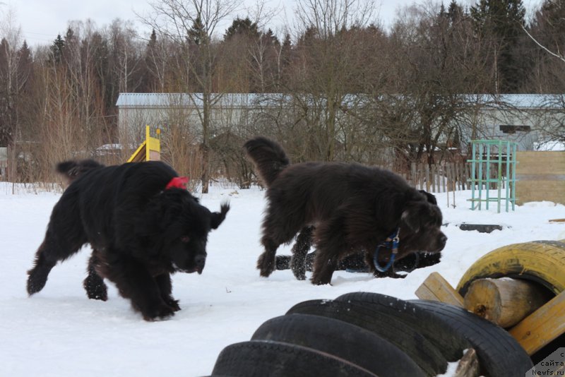 Фотография № 202402