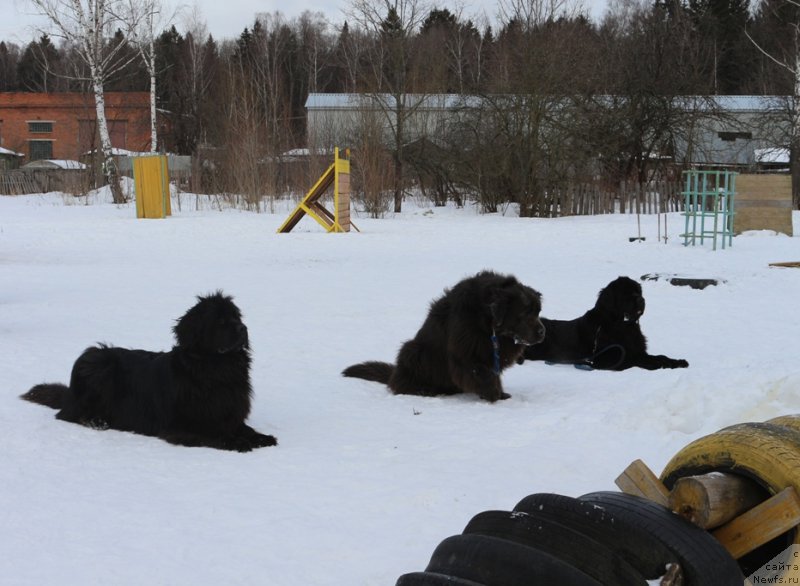 Фотография № 202403