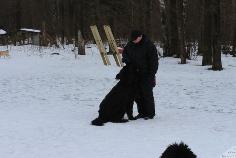 Фотография № 202404