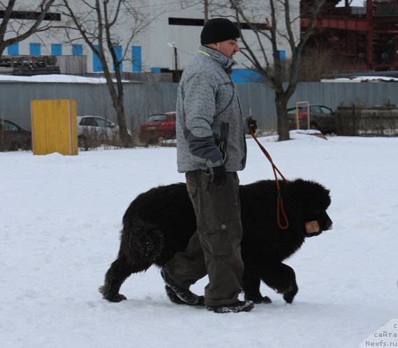 Фотография № 202405