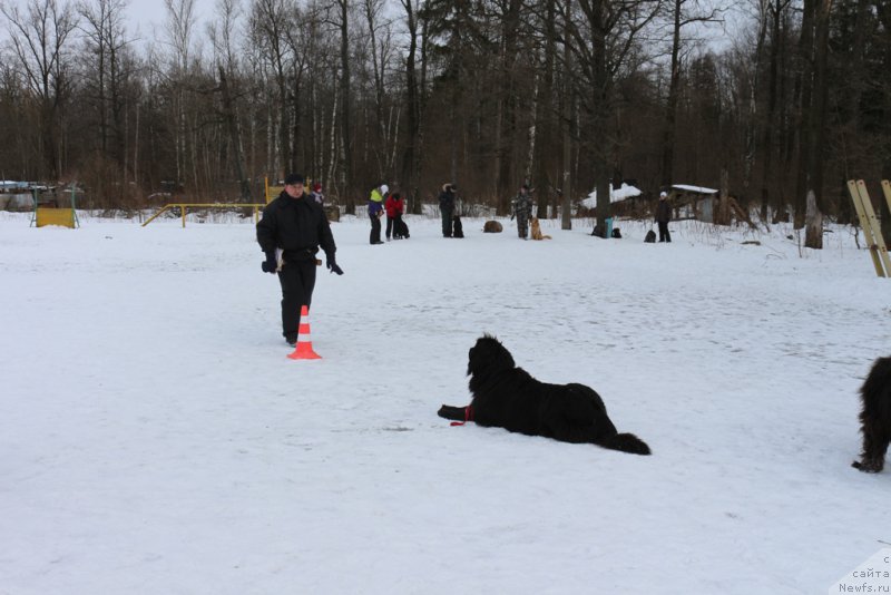 Фотография № 202406