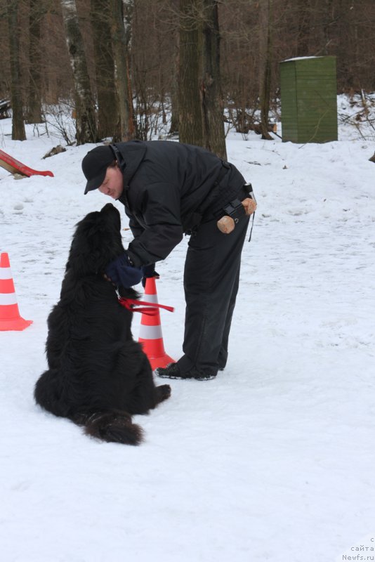 Фотография № 202407