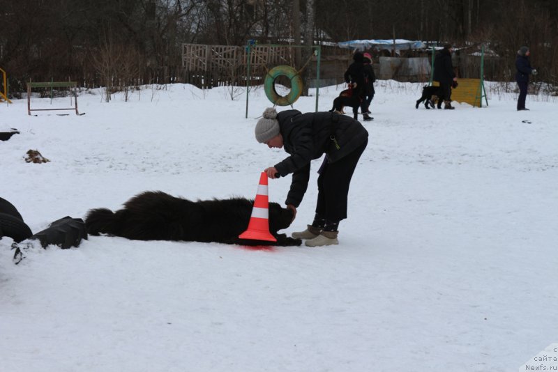 Фотография № 202408