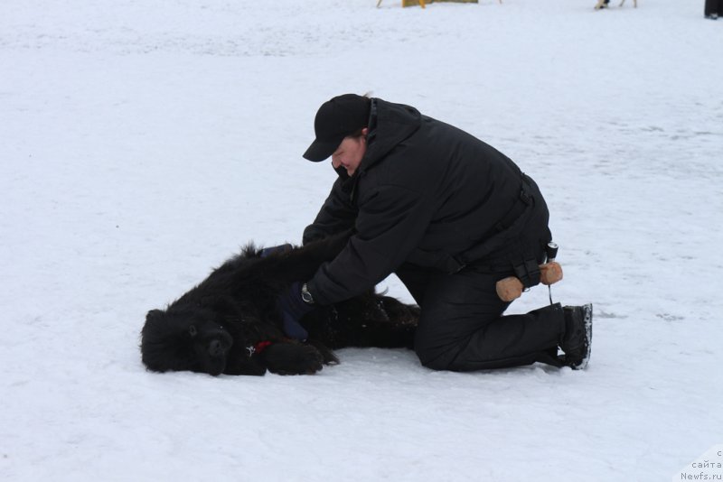 Фотография № 202409