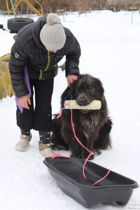 Фотография № 202410