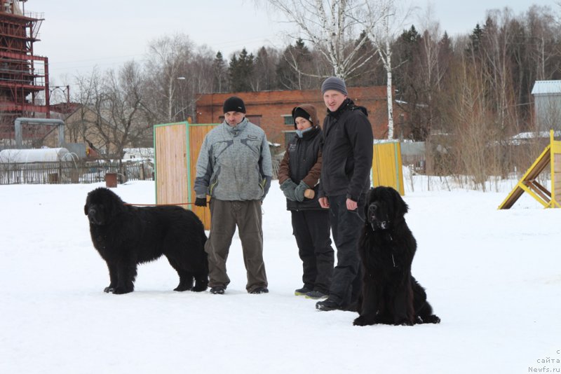 Фотография № 202411