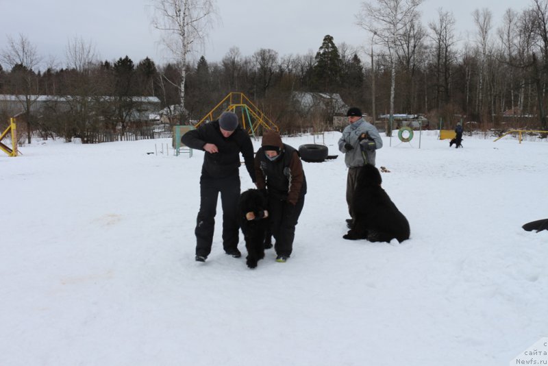 Фотография № 202415