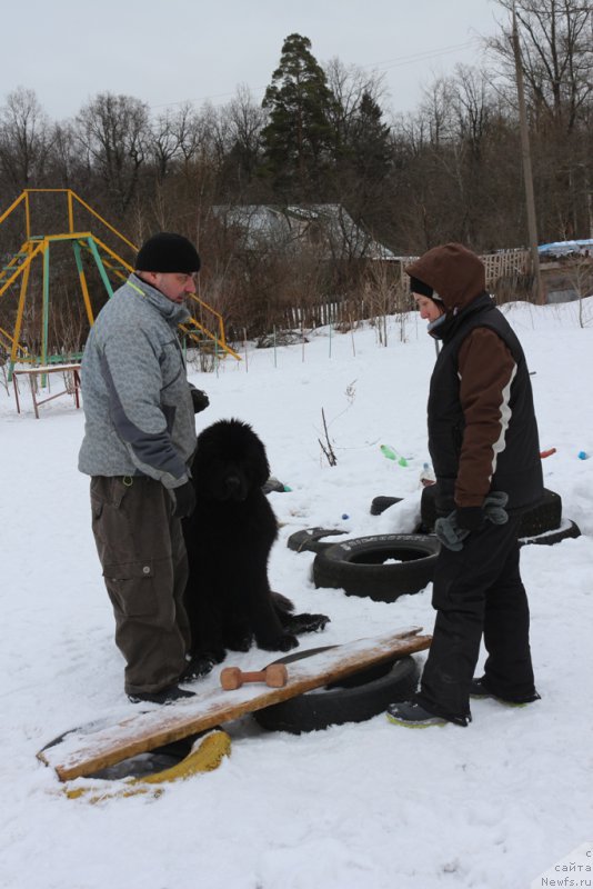 Фотография № 202416