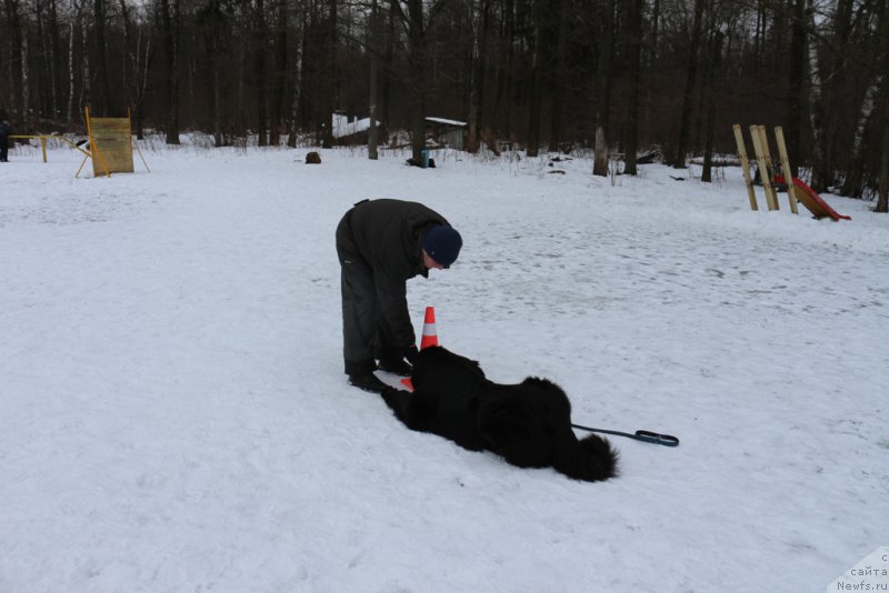 Фотография № 202417