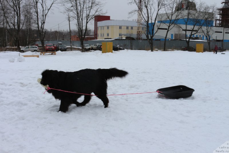 Фотография № 202418