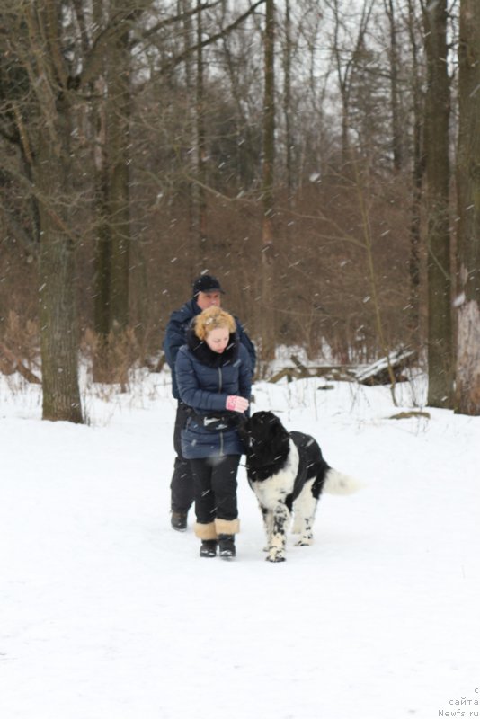 Фотография № 202420