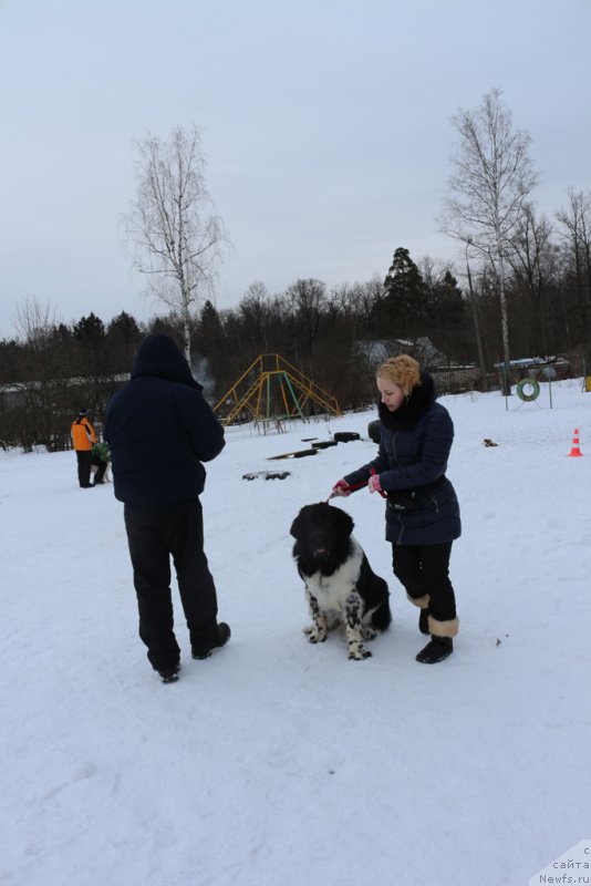 Фотография № 202421