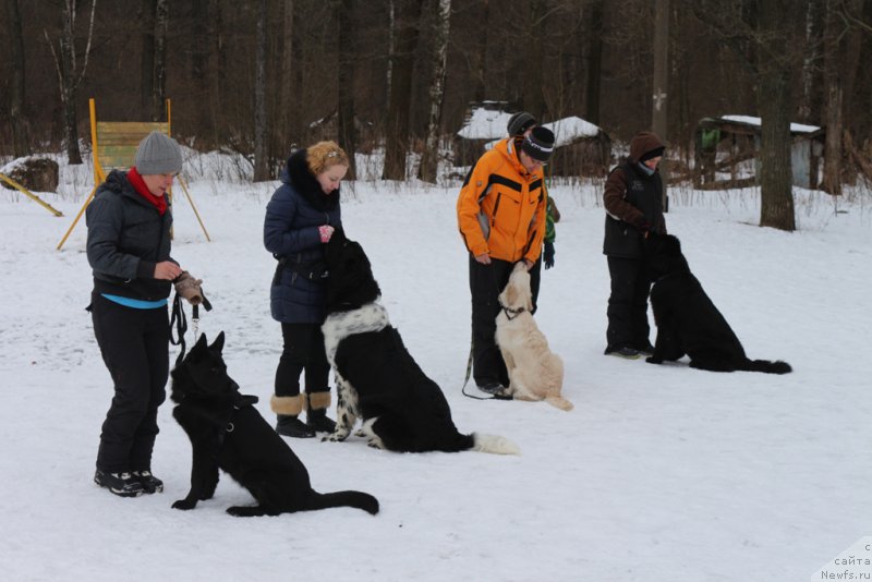 Фотография № 202422