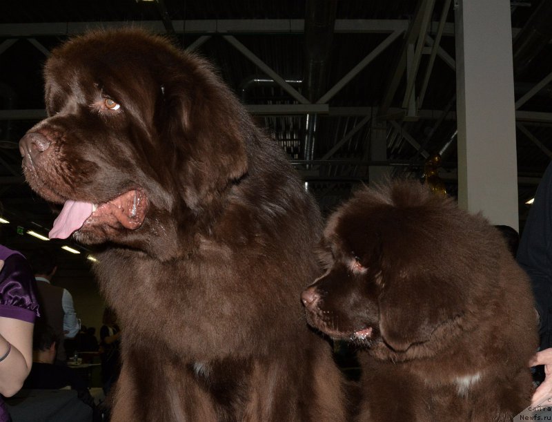 Фотография № 202461