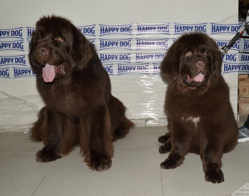 Фотография № 202463