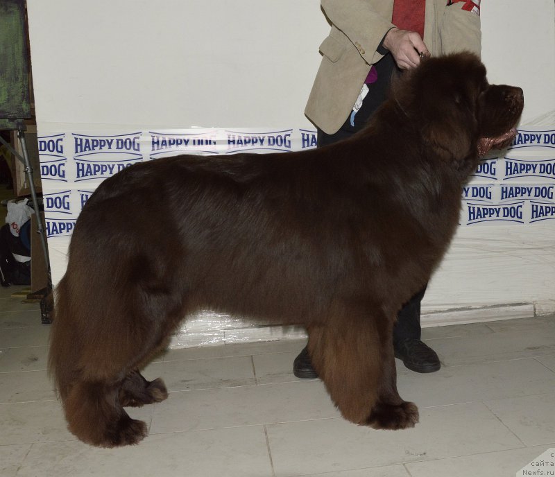 Фотография № 202468