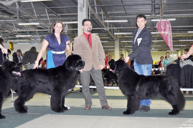 Фотография № 202474