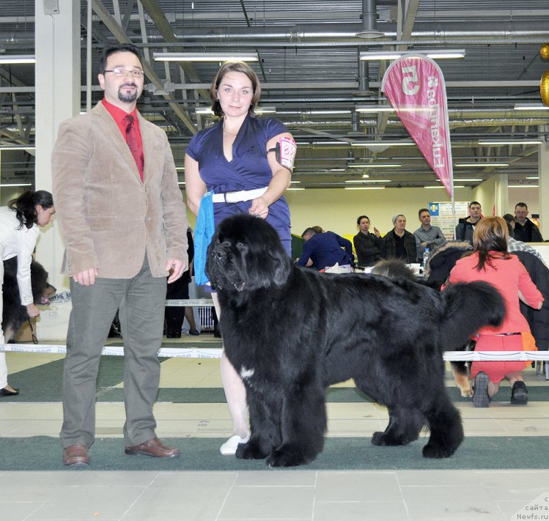 Фотография № 202475