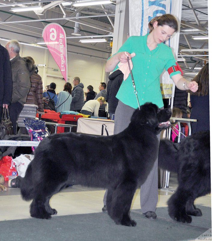 Фотография № 202476