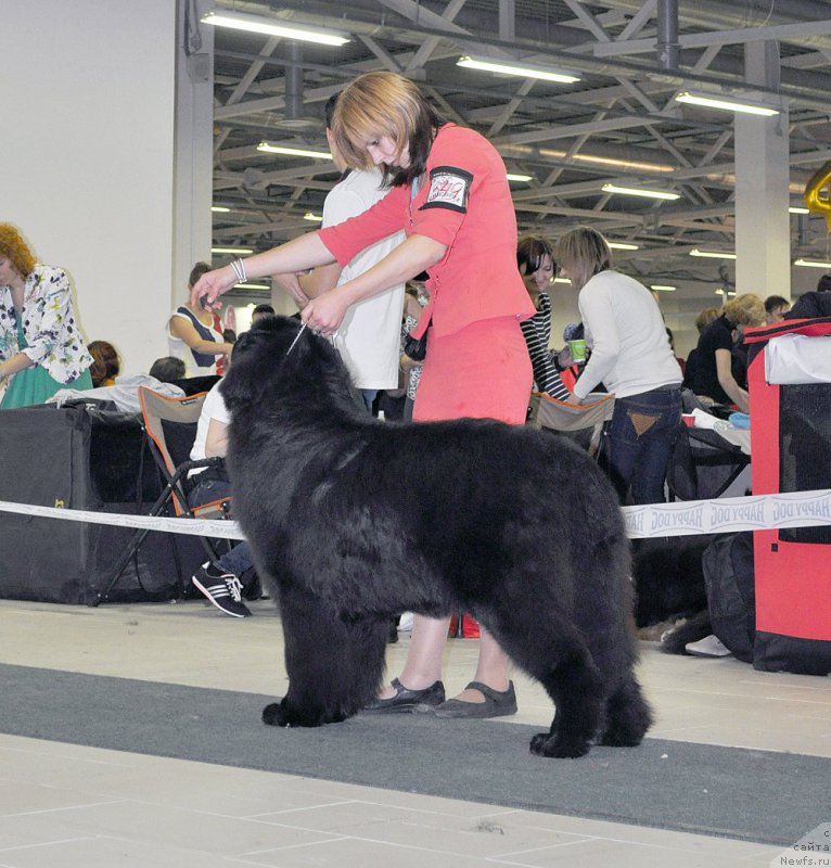 Фото: Злато Волмари Босс