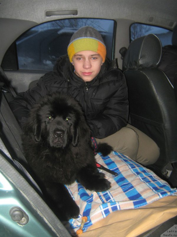 Фото: ньюфаундленд Энерги Океан