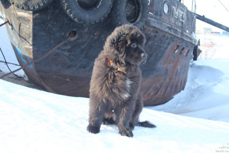 Фотография № 202584