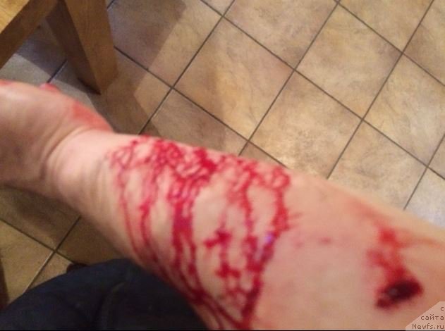 Фотография № 202620