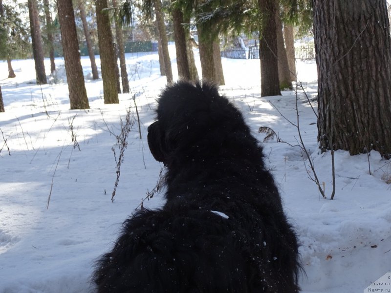 Фотография № 202652