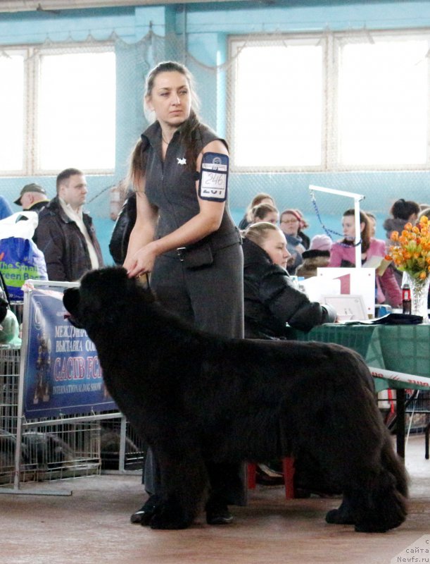 Фото: Виктор Хрищанович