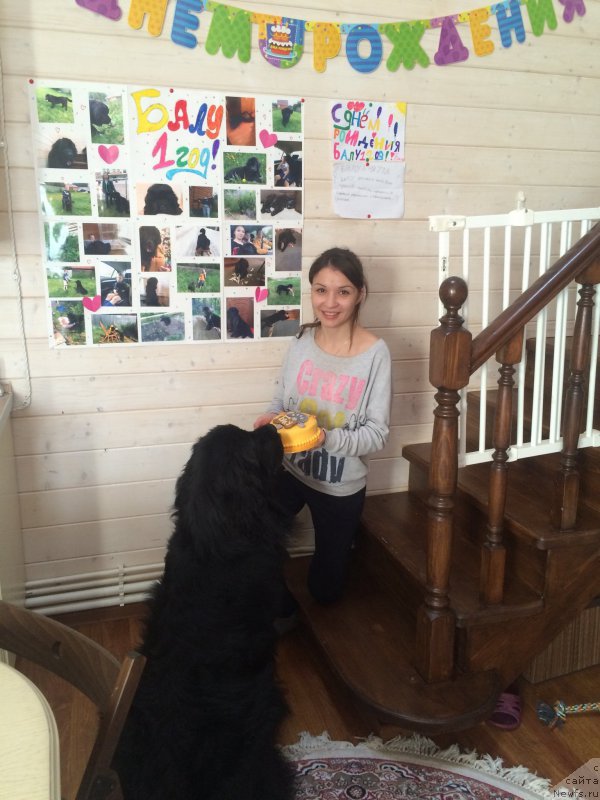 Фотография № 202655