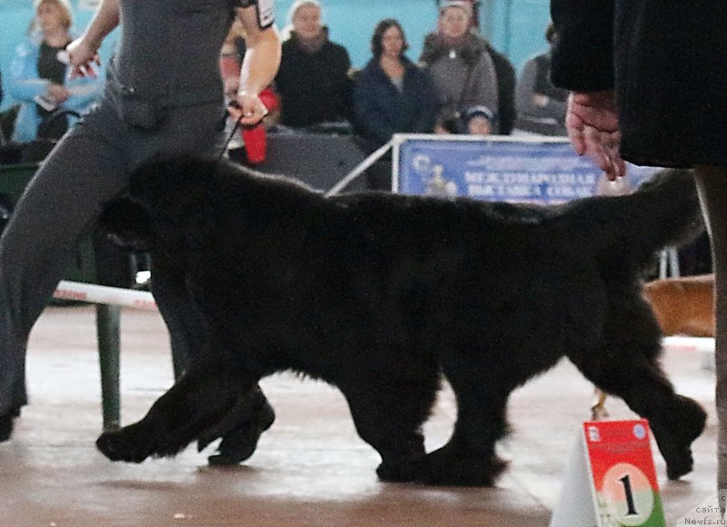 Фотография № 202656